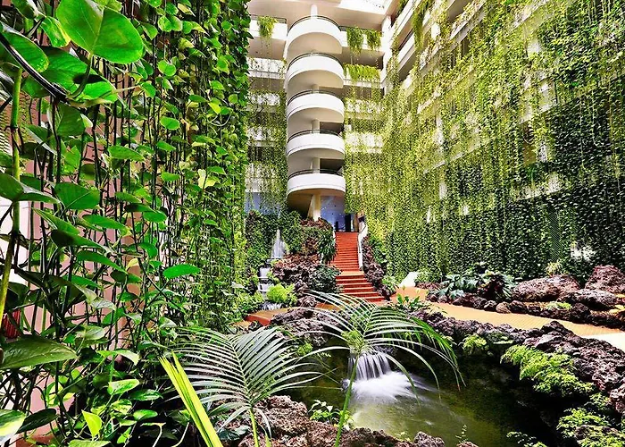 H10 Taburiente Playa Брения-Баха